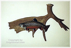 Brook Trout Taxidermy by Reimond Grignon