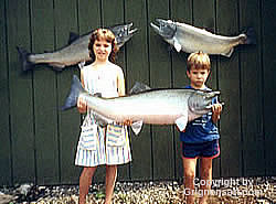 King Salmon Taxidermy by Reimond Grignon