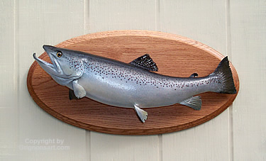 Moose Trout 